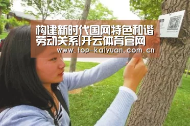 开云棋牌