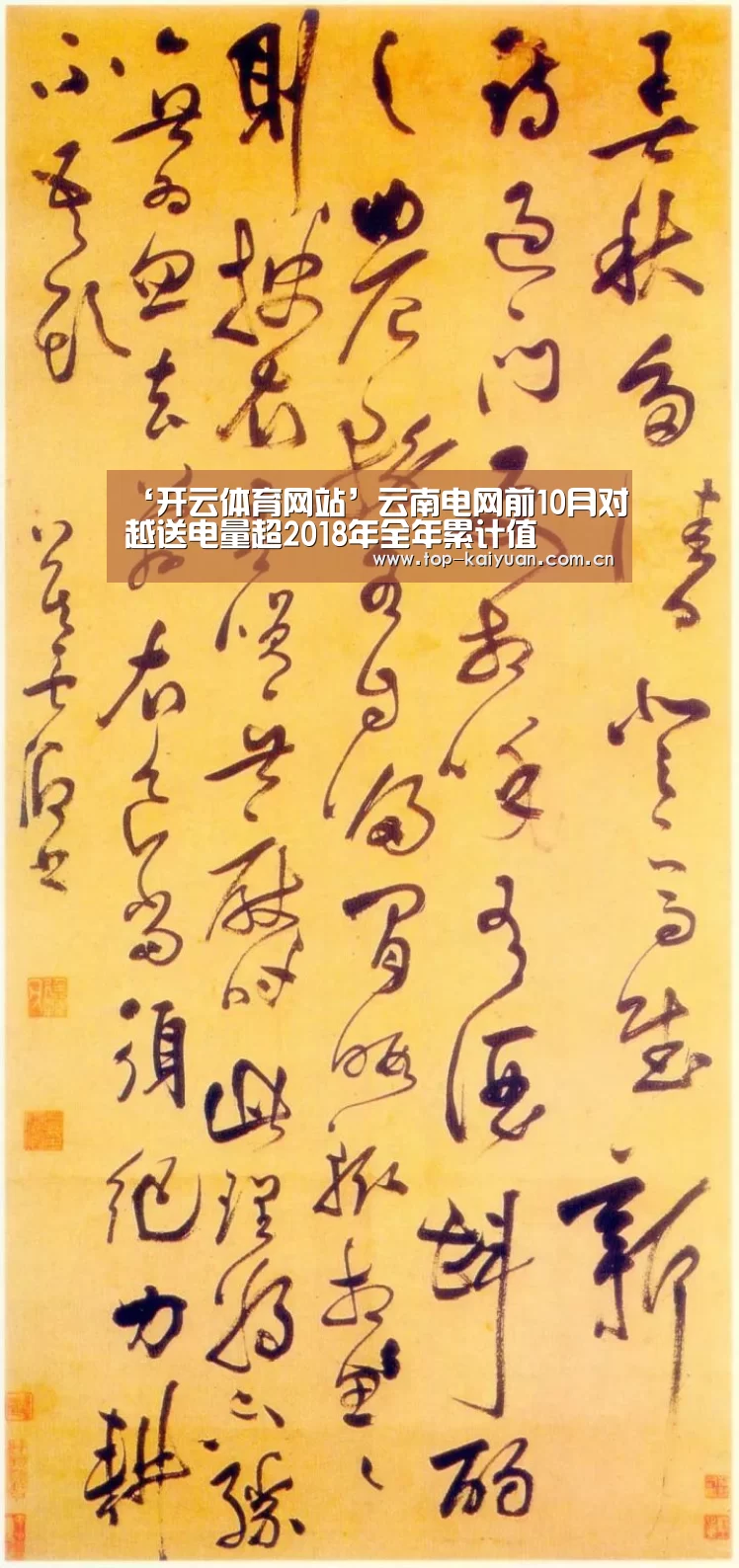 开云体育官网
