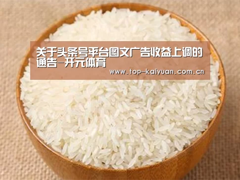 开云体育官网